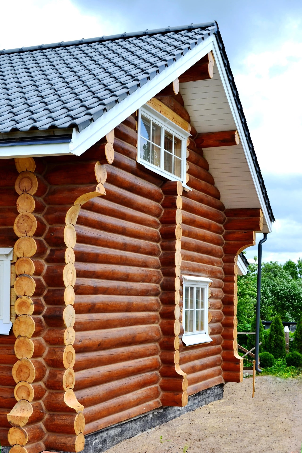 Деревянный дом из рубленного бревна (сосна) после окраски и герметизации (тёплый шов).