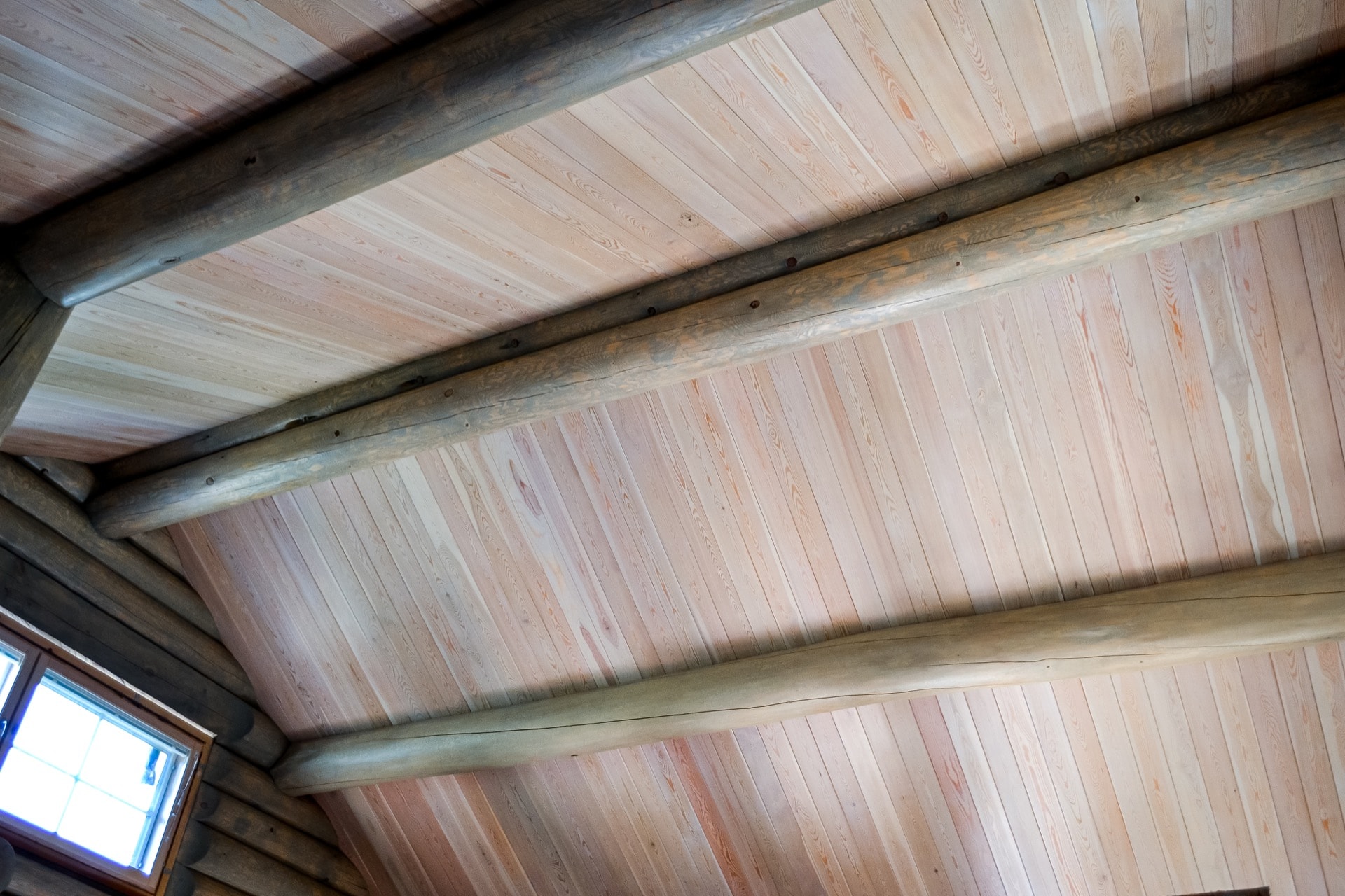 Потолок из вагонки ангарской сосны в деревянном доме из рубленного бревна (сосна) после окраски